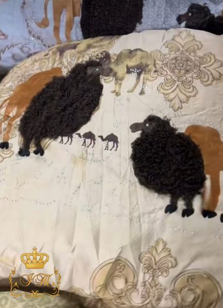 Camel Wool Blanket with Crystals, Euro Size