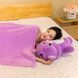 Care Bears 3-in-1 Toy-Blanket &mdash; plush toy, pillow and blanket