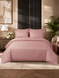 Primăvara на резинці №18, Постільна білизна, бронзова пудра, страйп сатин, євро розмір PV-18-e фото 4
